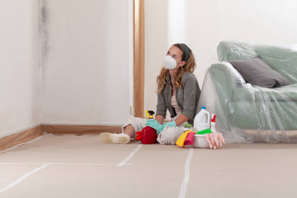 Reliable Mold Cleanup contractor in Ellicott City, MD by Cheap Mold Removal